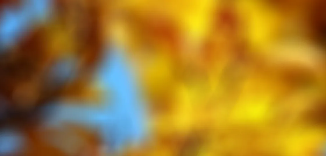 狗子282
